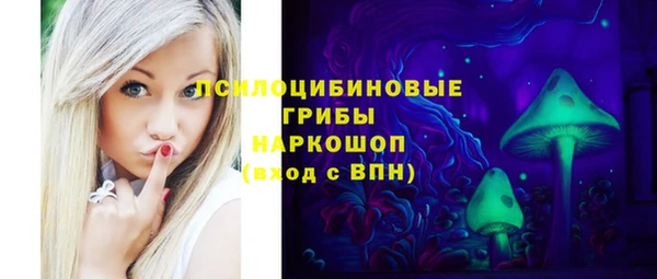 индика Алексин