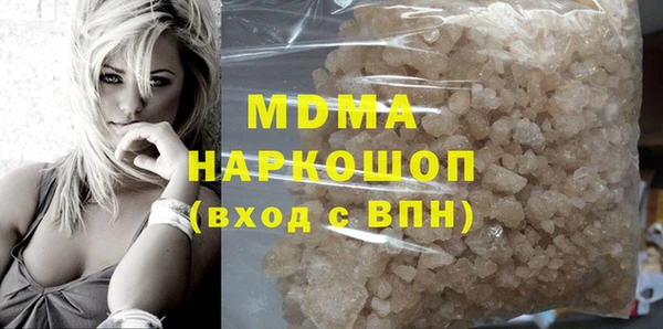 индика Алексин