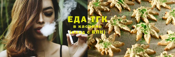 индика Алексин