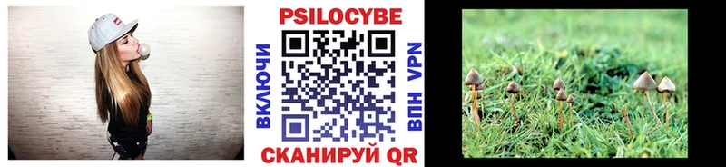 гидра ONION где можно купить наркотик Тбилисская Галлюциногенные грибы Magic Shrooms
